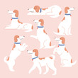 Collection of funny white dogs in different situations set.