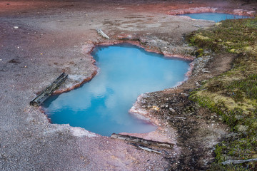 Wall Mural - Hot spring in Yellowstone