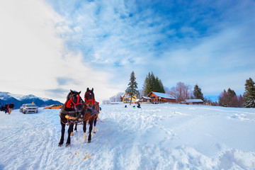 Canvas Print - Amazing atmosphere at Trei Brazi chalet in winter at 1120 metre altitude and 5 km from the Predeal Ski Resort, Prahova Valley, Bucegi mountains, Romania.