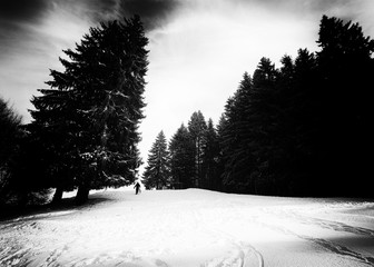 Sticker - Recreation area on the road between Trei Brazi chalet and Secuilor chalet at over 1000m and 5 km from the Predeal Ski Resort , Prahova Valley, Bucegi mountains, Romania. Black and white image.