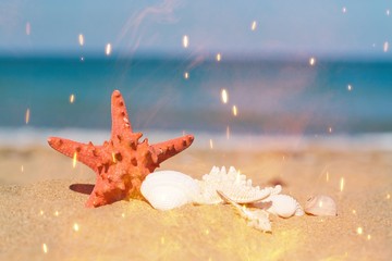 Canvas Print - Beach.