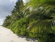 Seychellen, Karibik, Malediven, Mauritius, Reunion, Hawaii, Strand, Meer, Sonne, Urlaub, Reisen, Ferien, Palmen, Beach, Tropisch, Insel, Himmel, Wasser, Sommer, Paradies, Dschungel, Küste