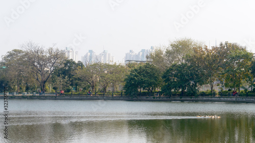 High-rise residential project building apartments and commercial condos stands tall framing by tree on lake point of view Tableau sur Toile