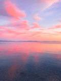Fototapeta Zachód słońca - Tender pink sunset at the sea, pink flower reflection on the sea