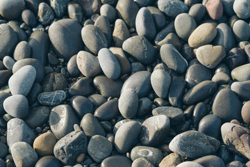 Smooth Round Pebble; Natura Background. Textures