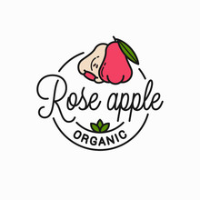 Rose Apple Fruit Logo. Round Linear Apple Slice