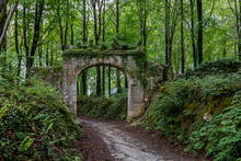 Lost Arch In Mystic Green Irish Forest