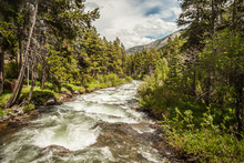 Wild Stream In The Mountains. Red Lodge, Montana, USA
