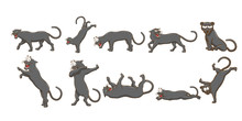 Panther Vector Set Collection Graphic Clipart 