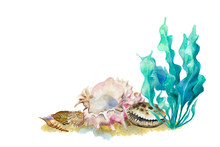 Corner Frame Of Colorful Sea Shells And Seaweed. Copy Space For Design. Hand Drawn Watercolor.