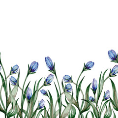 small blue spring flowers with green leaves are made in watercolor