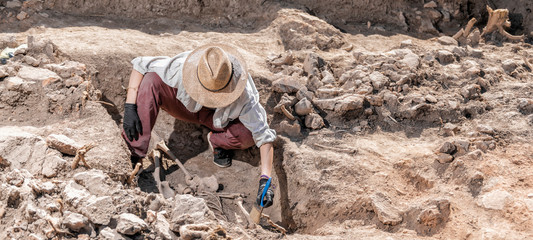 Wall Mural - Ancient Burial Site- Archaeological Excavations