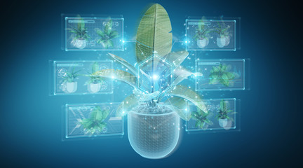 Fototapete - Holographic projection of a plant with digital analysis on blue background 3D rendering