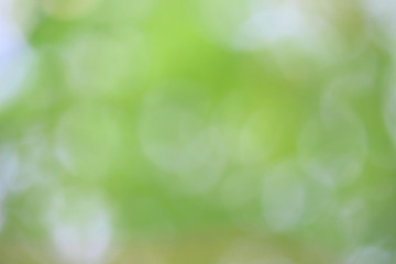 Bokeh green nature, Subtle background in abstract style for graphic design