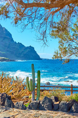 Poster - Small garden with native plants on the coast in Tenerife