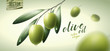 Vector realistic illustration. Green olives, leaves and paper icon.