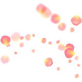Fototapeta Sypialnia - Rose gold petals flying cosmetics vector background.