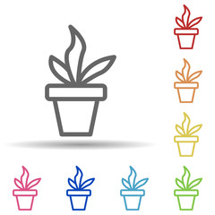 Poster - Plant in the pot in multi color style icon. Simple thin line, outline vector of science icons for ui and ux, website or mobile application