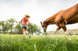 © MACO - Western girl leading and riding horse bareback in pasture. Bridger, Montana, USA