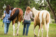 © MACO - Two girls pet and lead a two mares in a pasture. Bridger, Montana, USA