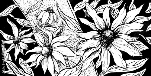 Dekoracja na wymiar  kwiaty-kwiatowy-poziome-tlo-echinacea-kwiat-kwiecisty-ozdoba-kwiatowa-sztuka-projektowania-kwiaty-aster-kwitna-paki-kwiatow-odcisk-tekstury-tla