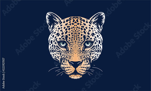 jaguar face on dark background Poster Mural XXL