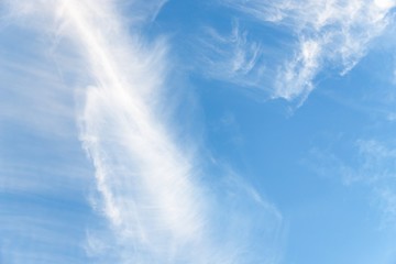 Wall Mural - Beautiful blue sky with cirrocumulus white clouds