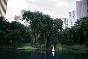 Green landscapes of parks with palm trees and various trees and plants of green and turquoise among the large metropolis of Kuala Lumpur. Aqua Menthe and Phantom Blue 2020 colors. Photos for backgroun