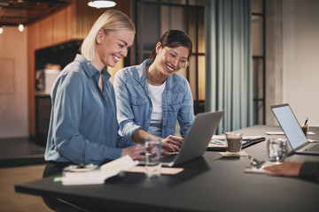 Wall Mural - Smiling businesswomen working together on a laptop in an office