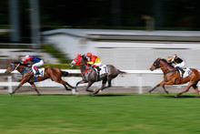 Horse Race Motion Blur, Racing Horses