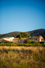 Wall Mural - Vertical picture of old traditional stone provencale farmyard in Provence, France with Luberon hill on background in hot summer morning. Travel tourism destination Provence