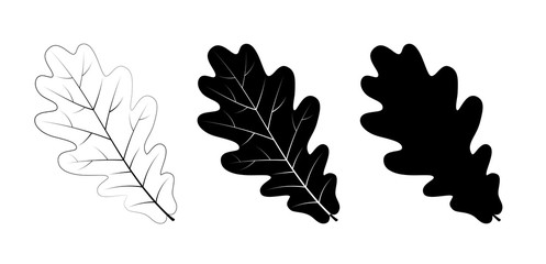 Vector set of oak leaves, outline and silhouette.