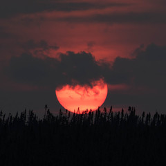 Wall Mural - close up of the sun at dusk. sun with clouds at sunset