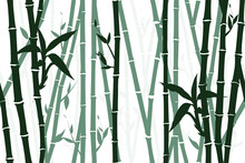 Seamless Bamboo Background, Pattern. Vector Illustration