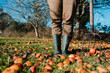 © Alberto Menendez/ADDICTIVE STOCK - Faceless farmer with pitchfork harvesting fallen mature and rotten apples on green lawn in garden