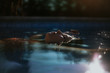 © Ekaitz Gerique/ADDICTIVE STOCK - Side view of face above water surface of resting tranquil woman with closed eyes in swimming pool on sunny summer day