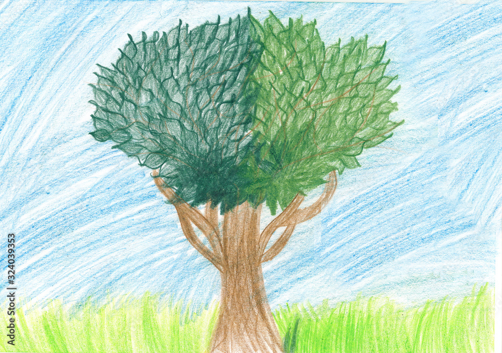 Rysunek dziecka, drzewo rysowane kredką - obrazy, fototapety, plakaty 