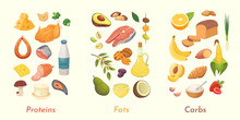 Macronutrients Vector Illustration. Main Food Groups : Proteins, Fats And Carbohydrates. Dieting, Healthy Eating Concept.