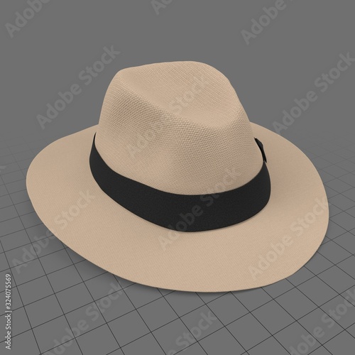 buy panama hat
