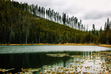 Wall Mural - Tranquil scenery at the Yellowstone Lake, Wyoming