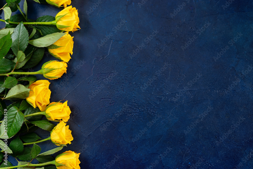 Top view of beautiful yellow roses on dark blue background - obrazy, fototapety, plakaty 