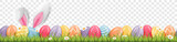 Fototapeta Desenie - Easter bunny ears with easter eggs on meadow with flowers background banner transparent