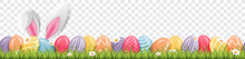 Easter Bunny Ears With Easter Eggs On Meadow With Flowers Background Banner Transparent