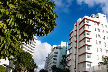 Wall Mural - modern building in the city