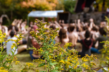 Poster - A selective focus view as a blurry group of people practice mindful meditation and yoga, in nature at a festival celebrating earth and native culture