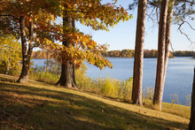 Trees In Autumn Color On Shore Of Beautiful Lake In Northern Minnesota