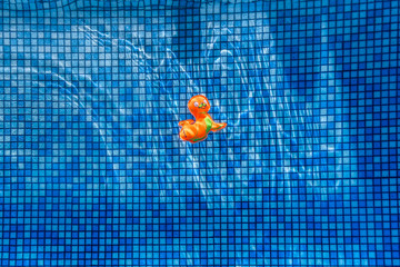 Wall Mural - Fun in the swimming pool 