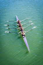 Female Women Rowing Crew Sculling Purple Boat On Green Lake In Sun With Texas Flags