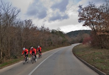 Canvas Print - road