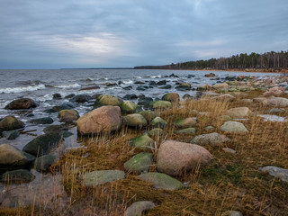 landscape with stony sea coast